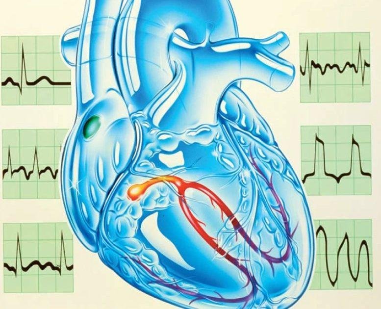 عيادة الدكتور وليد اسماعيل - جراحة قلب الاطفال