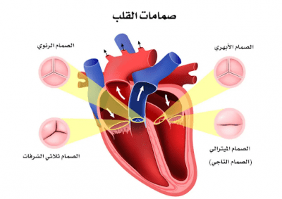 عيادة الدكتور وليد اسماعيل - جراحة قلب الاطفال